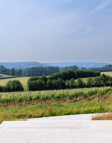Domaine_Evremond_056_6172_%281%29.jpg