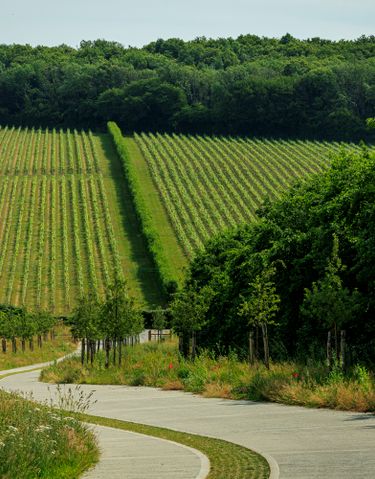 Domaine_Evremond_080_6212.jpg